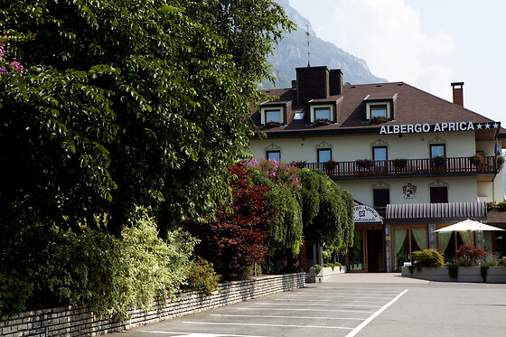 Albergo Aprica - photo 7