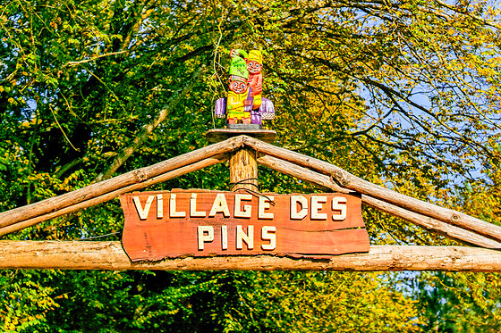 Domaine de Dienné - photo 8