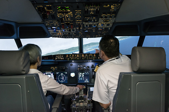 Easy Flight - photo 0