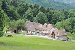 Ferme SAXERMATT