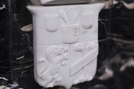 Palazzo Cestari - photo 4
