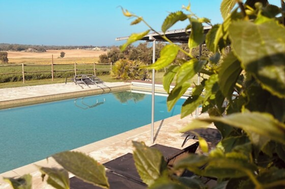 Online Booking EPS - photo 3