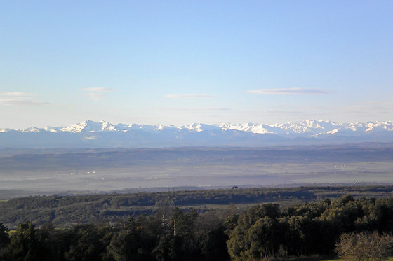 Domaine de Campras - photo 9