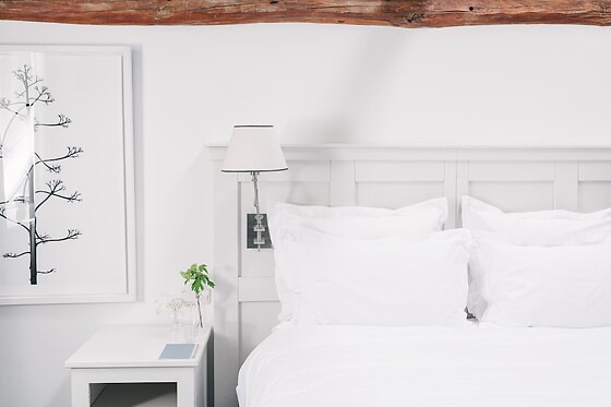 Fletcher Hotel Château De Raay (HOTEL) - photo 5