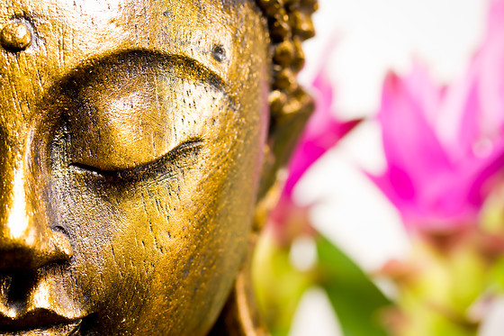 ZEN LIFE - photo 20