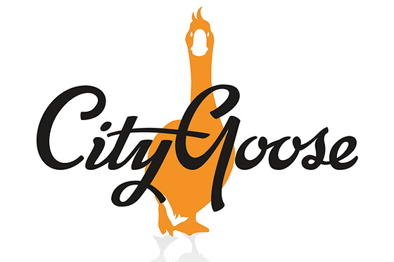 CityGoose stadsspellen - photo 0