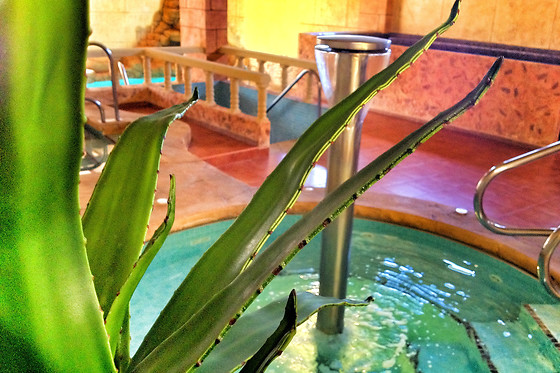 LOHEGA BALNEARIO URBANO - photo 8
