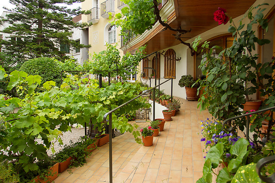 HOTEL ANTIGA - photo 12