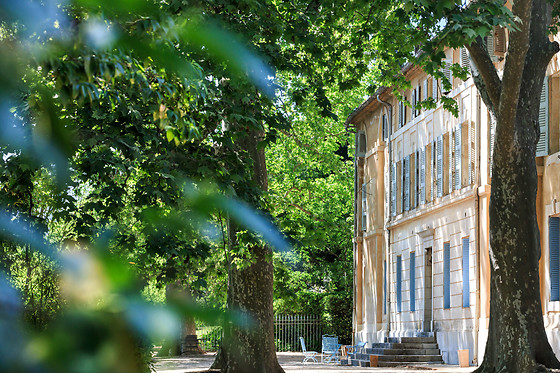 Château de Saint Martin - photo 6