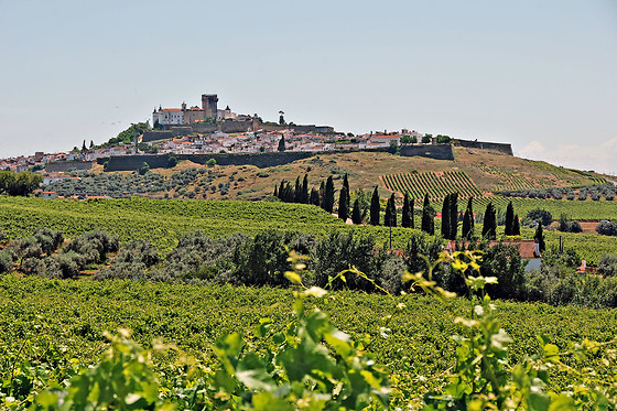João Portugal Ramos Vinhos - photo 4