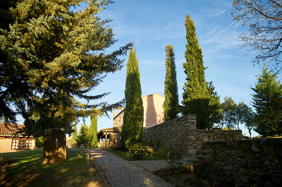 FINCA EL CORTIÑAL - photo 4
