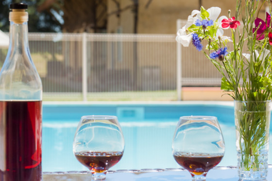 Relais du Haget - photo 14