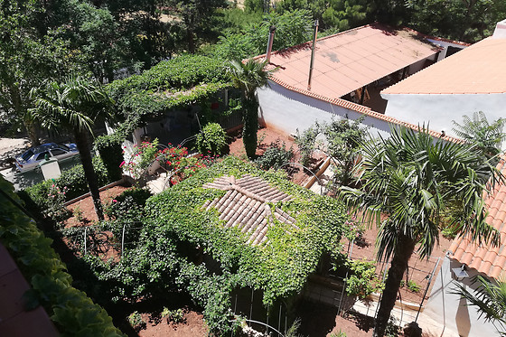 HOSTAL LOS ROSALES - photo 4