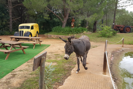 Parque da Mina - photo 2