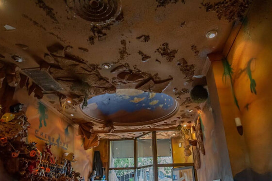 RESTAURANT CHIHUAHUA - photo 3