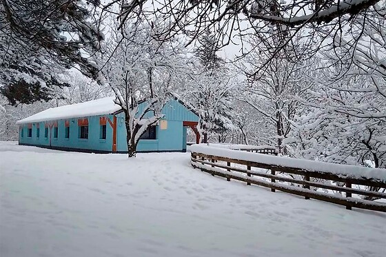 Online Booking EPS - photo 2