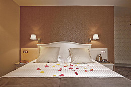 Best Western Le Duguesclin