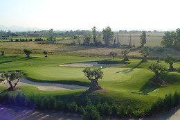 PALOMAREJOS GOLF