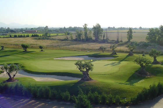 PALOMAREJOS GOLF - photo 1