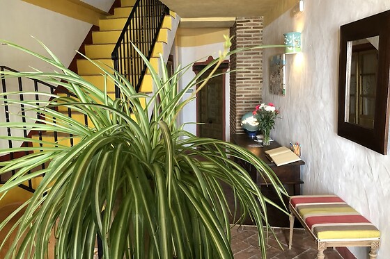 Online Booking EPS - photo 4