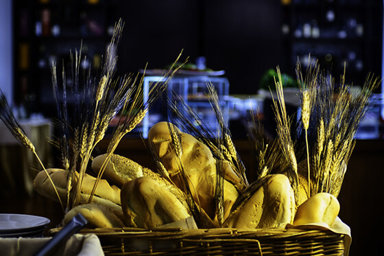 Hotel Diamante Alessandria - photo 4