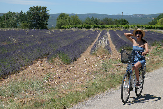 Sun E Bike - photo 0