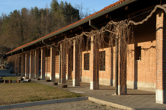 Antichi Vigneti di Cantalupo - photo 0
