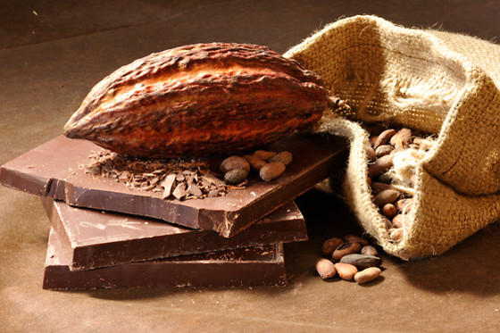 A la Reine Astrid - photo 4