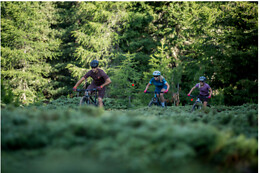 Cycle sport