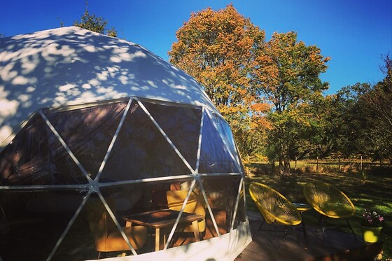 Tui's Nest Glamping - photo 0