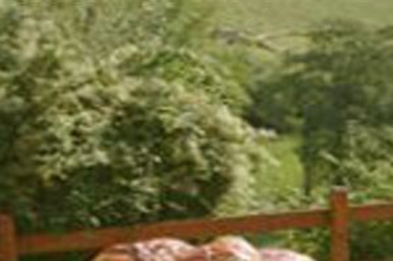 Le relais du colombier - photo 24