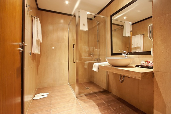 Best Western Plus Bristol Hotel - photo 3
