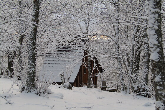 La bergerie du Plateau - photo 29