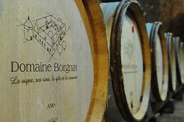 Domaine Borgnat