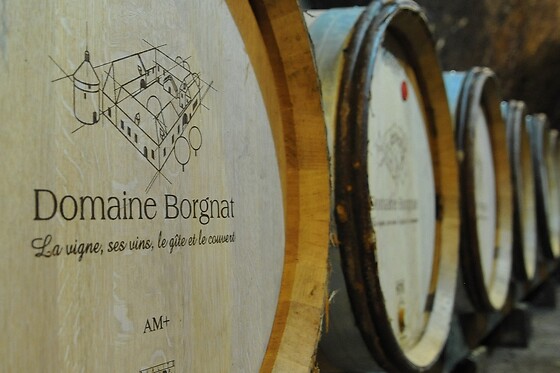 Domaine Borgnat - photo 6