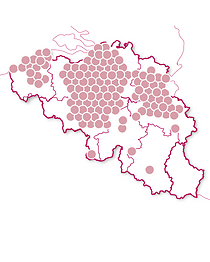 Gastronomie et vin