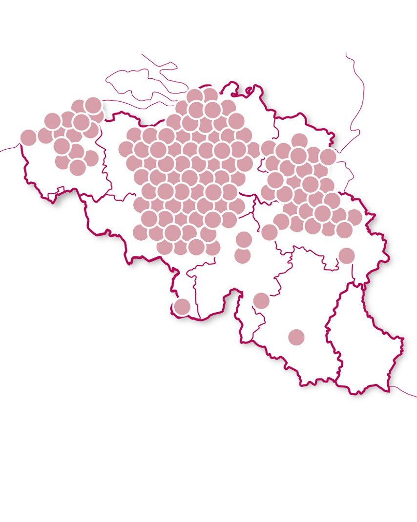 Gastronomie et vin