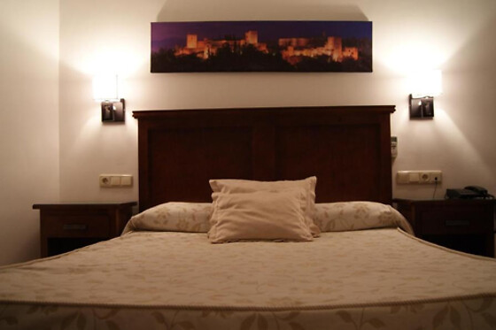 HOTEL MULHACEN - photo 5
