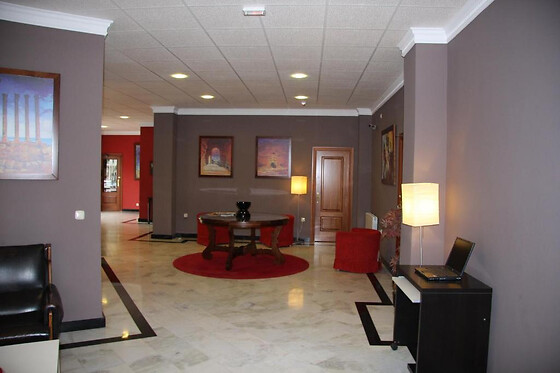HOTEL MULHACEN - photo 6