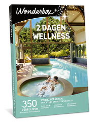 2 dagen wellness