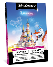 Disneyland® Paris - 1 jour Adulte - 1 parc