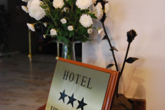 HOTEL HEREDERO - photo 8