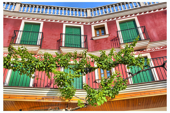 HOTEL ANTIGA - photo 2