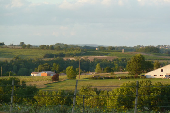 Un Poney, une histoire - photo 2