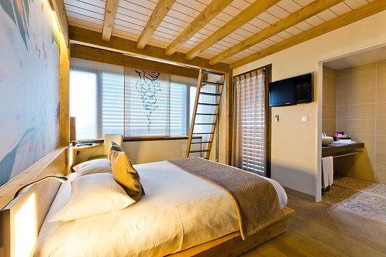 La Croix de Savoie & Spa - photo 0