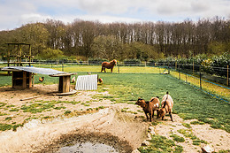 Camping les capucines