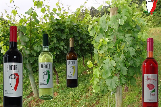 Quinta de Santa Marinha - photo 6