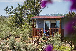 ECOTURISMO VILLAFELICHE