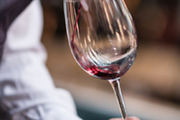 BODEGA VEGA TOLOSA