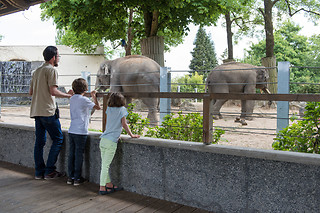Entrée groupe au Zoo - Parc zoologique de Maubeuge - Maubeuge (59)